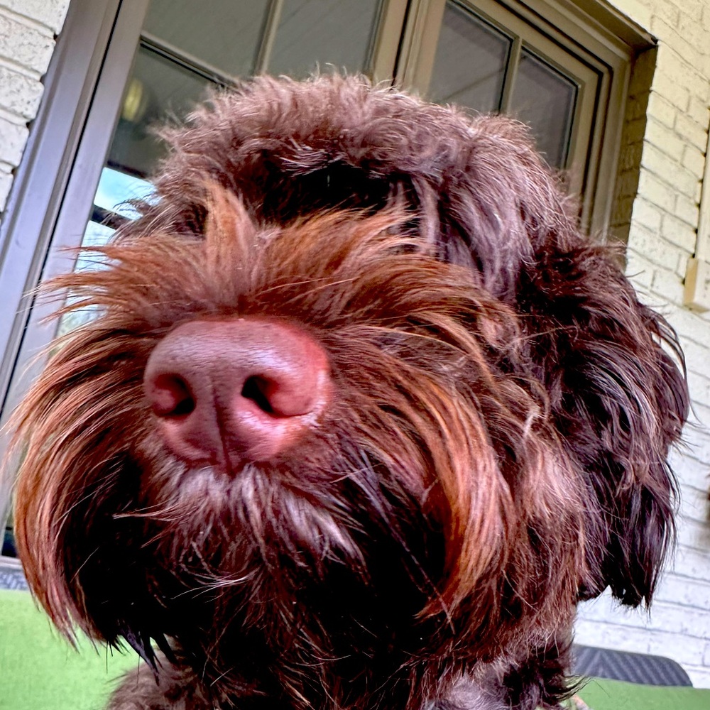 Meet your Posher, Kate